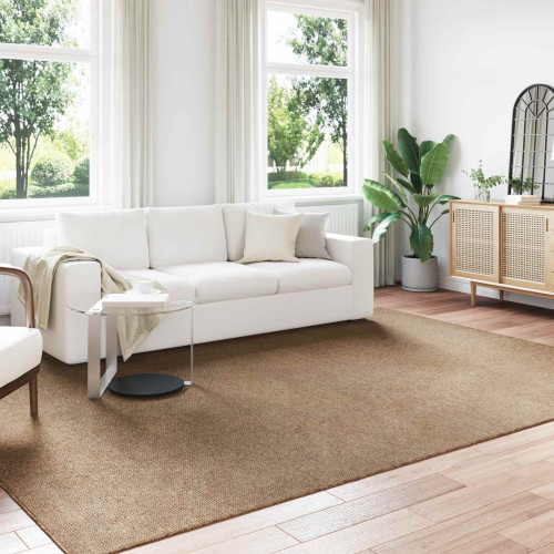 vidaXL Områdesmattor Rektangulär AGIRA Naturfärg 340 x 240 cm