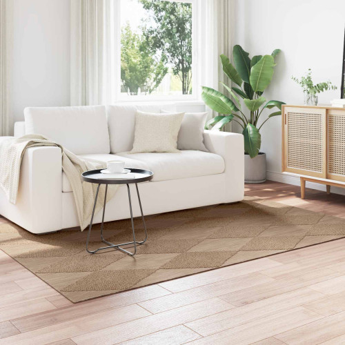 vidaXL Områdesmattor Rektangulär AGIRA Naturfärg 170 x 120 cm