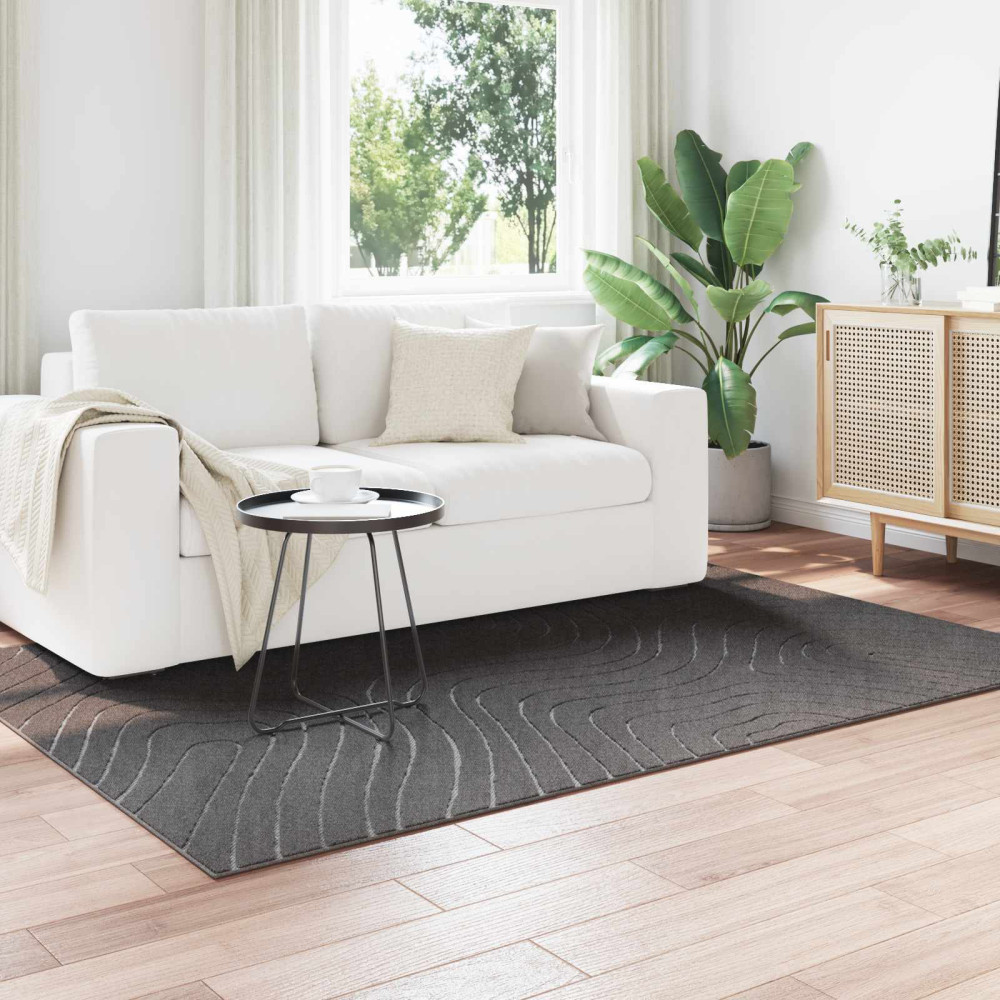 Produktbild för Områdesmattor PALMERAS Antracit 170 x 120 cm Polyester