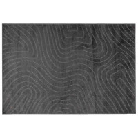 Produktbild för Områdesmattor PALMERAS Antracit 170 x 120 cm Polyester