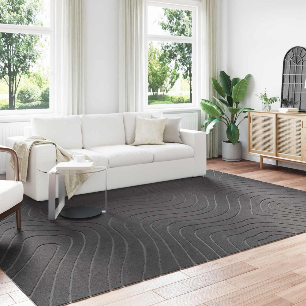 Produktbild för Områdesmattor PALMERAS Antracit 340 x 240 cm Polyester