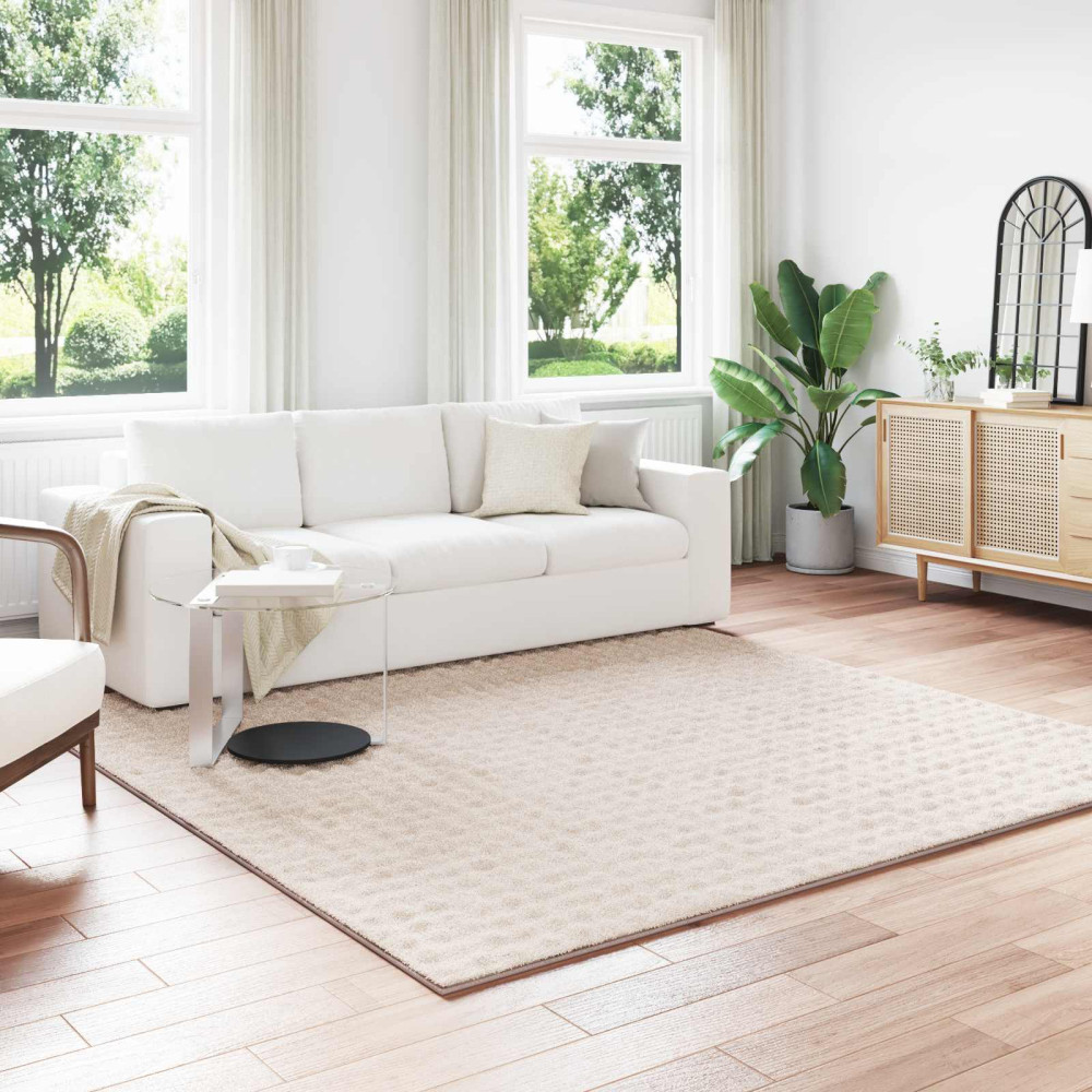 Produktbild för Områdesmattor Fyrkantig SIROLO Beige 240 x 240 cm Polyester