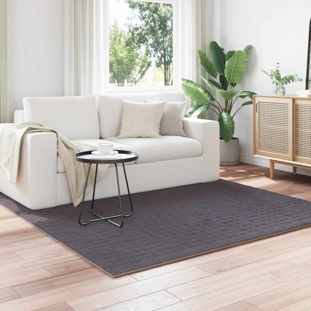 Produktbild för Områdesmattor Fyrkantig SIROLO Antracit 200 x 200 cm Polyester