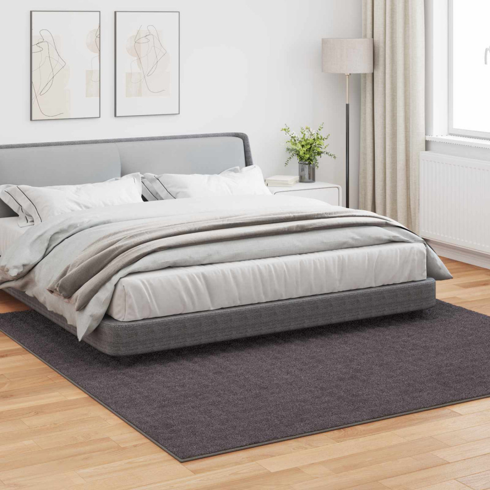 Produktbild för Områdesmattor Fyrkantig SIROLO Antracit 240 x 240 cm Polyester