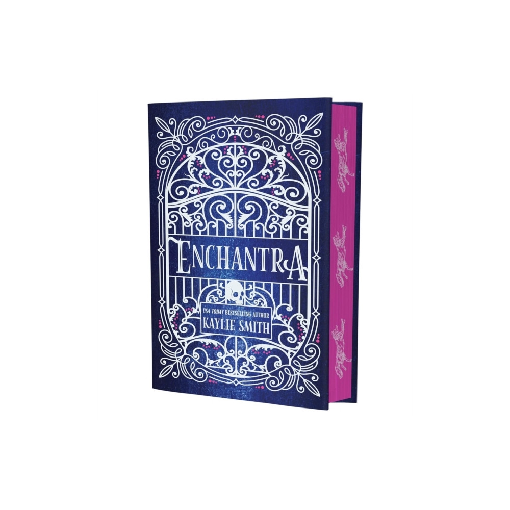 Produktbild för Enchantra (inbunden, eng)