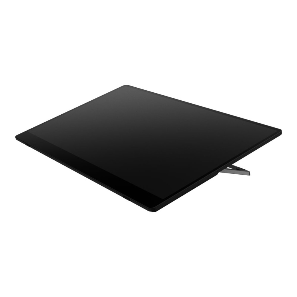 Produktbild för Ricoh 150BW - OLED-monitor - Full HD (1080p) - 15.6"