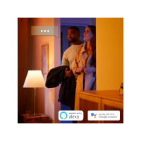 Produktbild för Philips Hue Go - skrivbordslampa - LED - 6 W - 16 miljoner färger - 2000-6500 K - vit