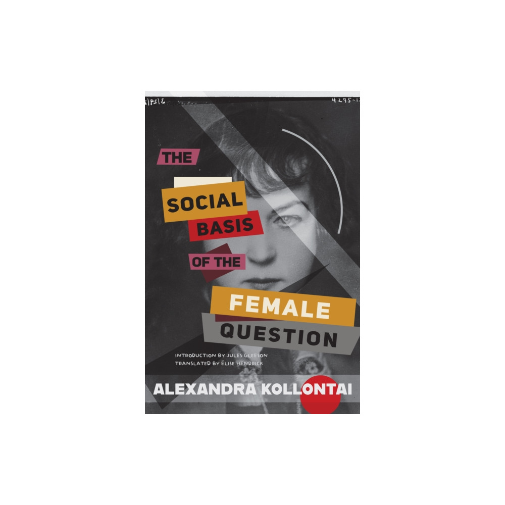 Produktbild för The Social Basis of the Female Question (häftad, eng)
