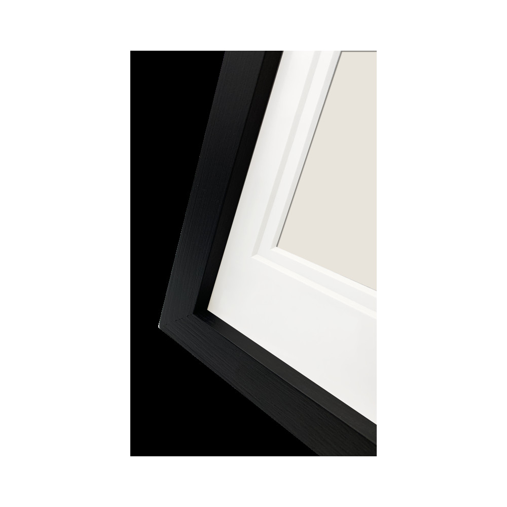 Produktbild för Focus Dahlia Black 24x30/PP 18x24