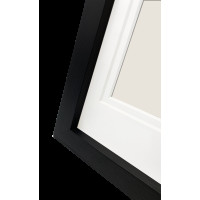 Produktbild för Focus Dahlia Black 24x30/PP 18x24
