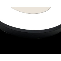Produktbild för Focus Aster Oval Black 26,6x36,6/PP 20x30