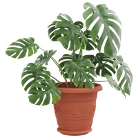 Produktbild för Växtkrukor 6 pcs Murgrön Ø 22 x 18 cm Plast