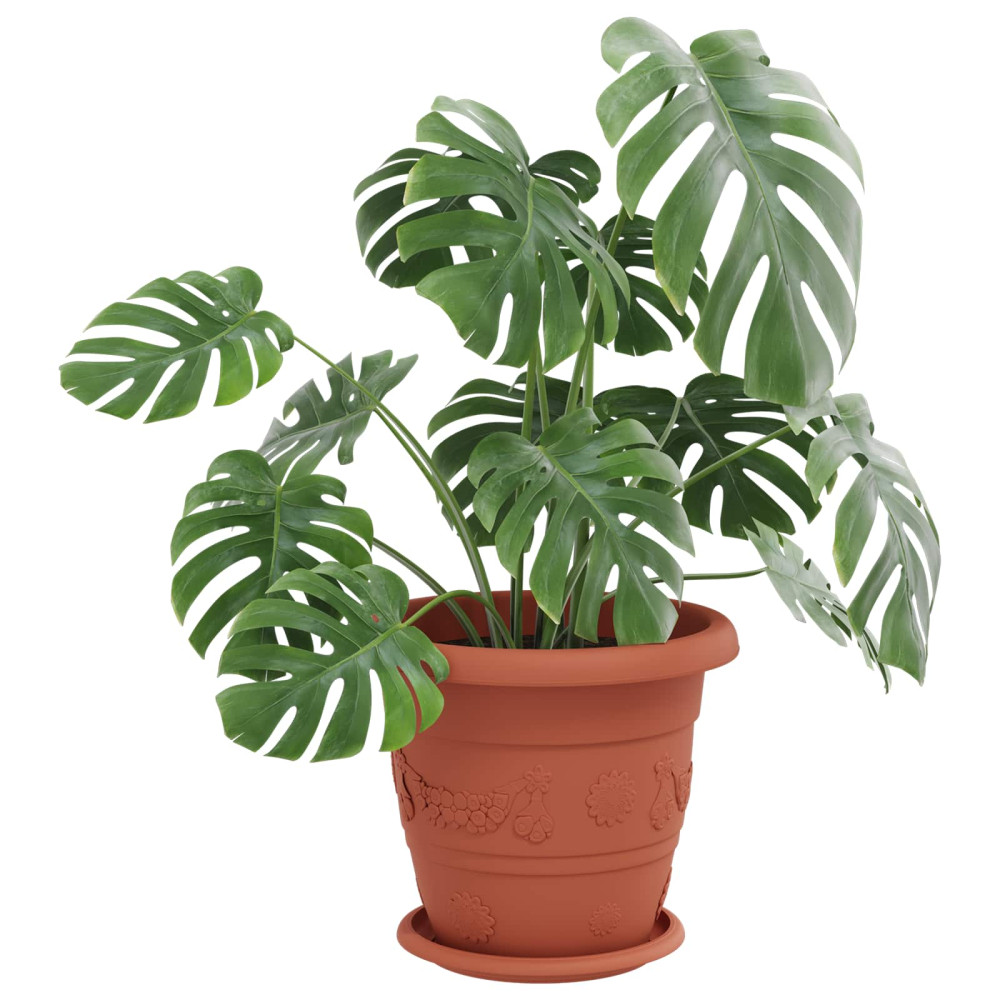 Produktbild för Växtkrukor 6 pcs Murgrön Ø 26 x 21,5 cm Plast