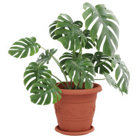 Produktbild för Växtkrukor 6 pcs Murgrön Ø 26 x 21,5 cm Plast