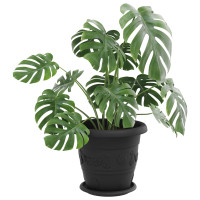 Produktbild för Växtkrukor 24 pcs Svart Ø 26 x 21,5 cm Plast