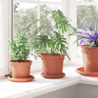 Produktbild för Rund Blomkruka 24 pcs Murgrön Ø 15 x 12 cm Plast