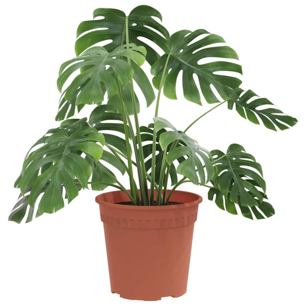 Produktbild för Rund Blomkruka 24 pcs Murgrön Ø 17 x 14 cm Plast