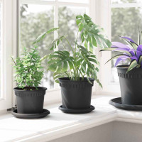 Produktbild för Rund Blomkruka 24 pcs Svart Ø 15 x 12 cm Plast
