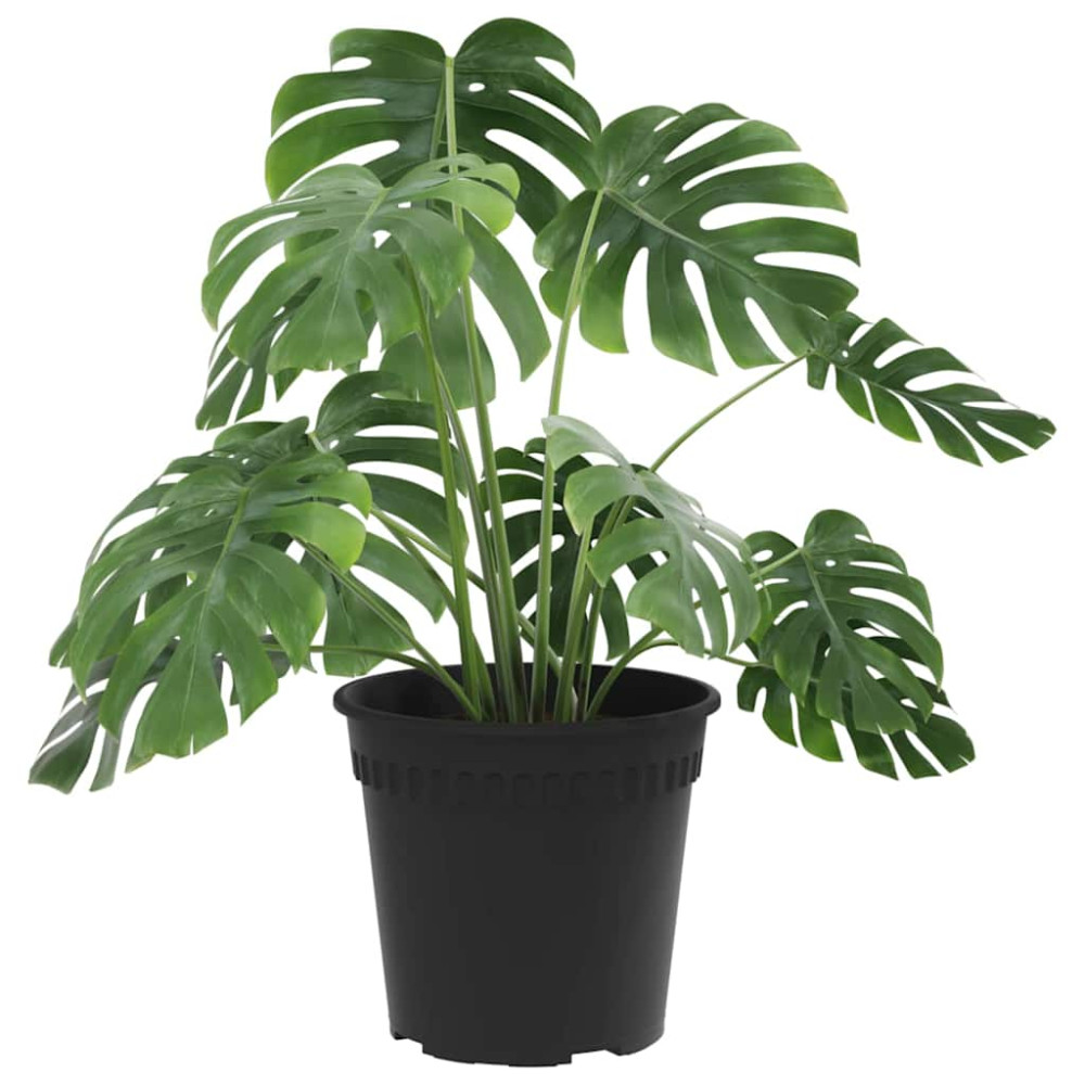 Produktbild för Rund Blomkruka 24 pcs Svart Ø 17 x 14 cm Plast