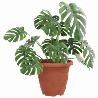 Produktbild för Rund Blomkruka 6 pcs Murgrön Ø 22 x 18 cm Plast