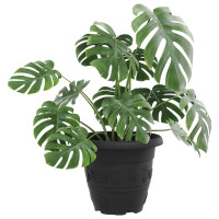 Produktbild för Rund Blomkruka 6 pcs Svart Ø 22 x 18 cm Plast