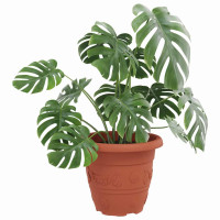 Produktbild för Rund Blomkruka 24 pcs Murgrön Ø 26 x 21.5 cm Plast