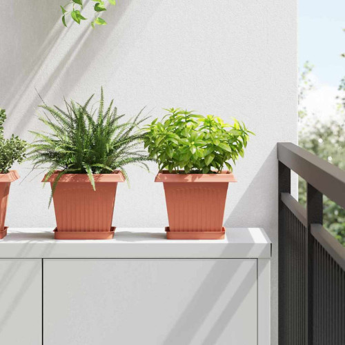 vidaXL Kvadratisk Blomkruka 6 pcs Murgrön 20 x 20 x 16 cm Plast
