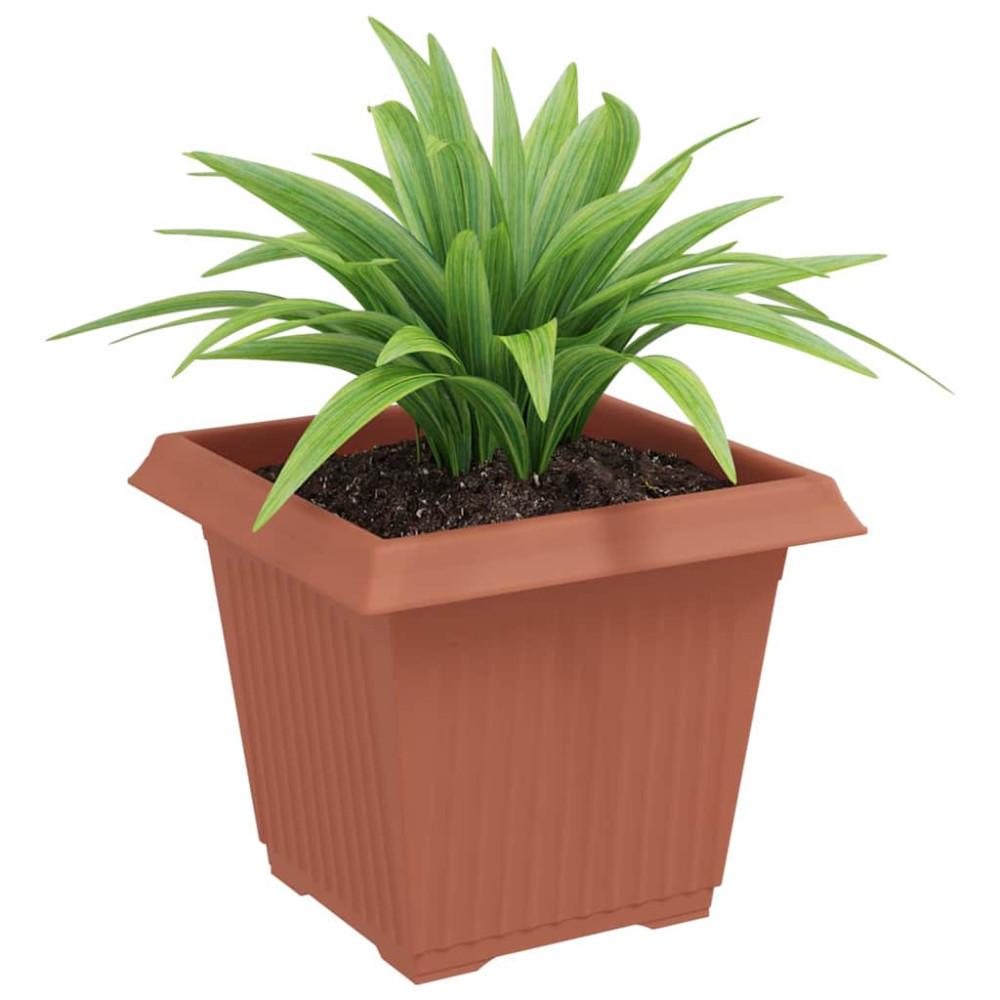 Produktbild för Kvadratisk Blomkruka 6 pcs Murgrön 20 x 20 x 16 cm Plast