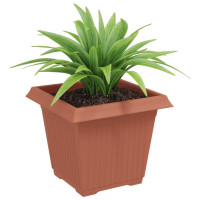 Produktbild för Kvadratisk Blomkruka 6 pcs Murgrön 20 x 20 x 16 cm Plast