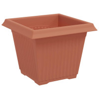 Produktbild för Kvadratisk Blomkruka 6 pcs Murgrön 20 x 20 x 16 cm Plast