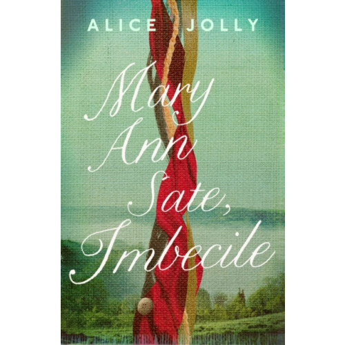 Wilton Square Books Mary Ann Sate, Imbecile (inbunden, eng)