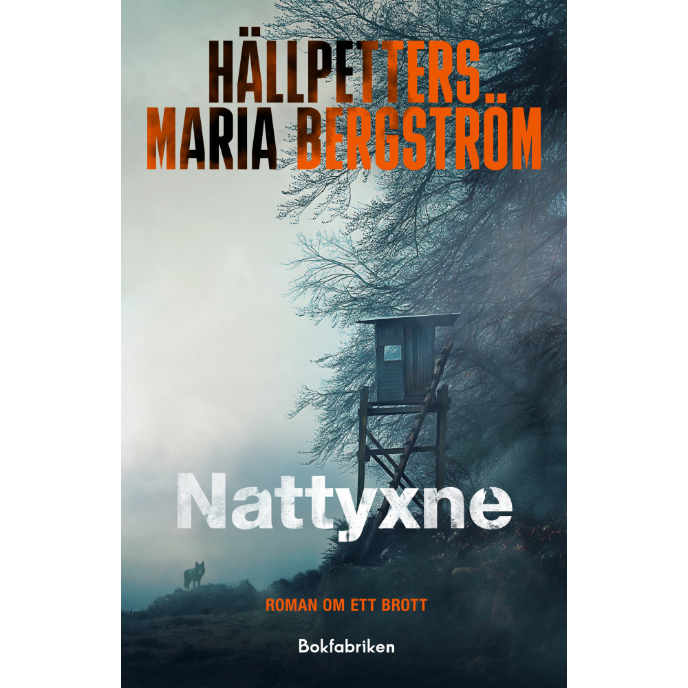 Produktbild för Nattyxne (pocket)