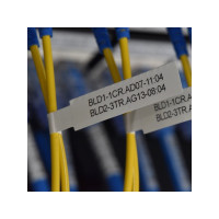 Produktbild för Brother P-Touch Cube Pro PT-E920BT - etikettskrivare - svartvit - termisk överföring