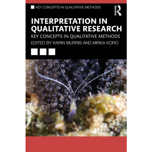 Taylor & francis ltd Interpretation in Qualitative Research (häftad, eng)