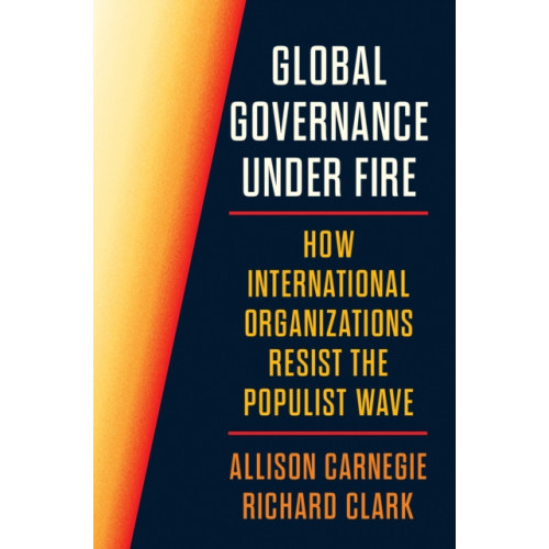 Princeton University Press Global Governance Under Fire (häftad, eng)