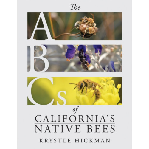 Heyday Books The ABCs of California's Native Bees (inbunden, eng)