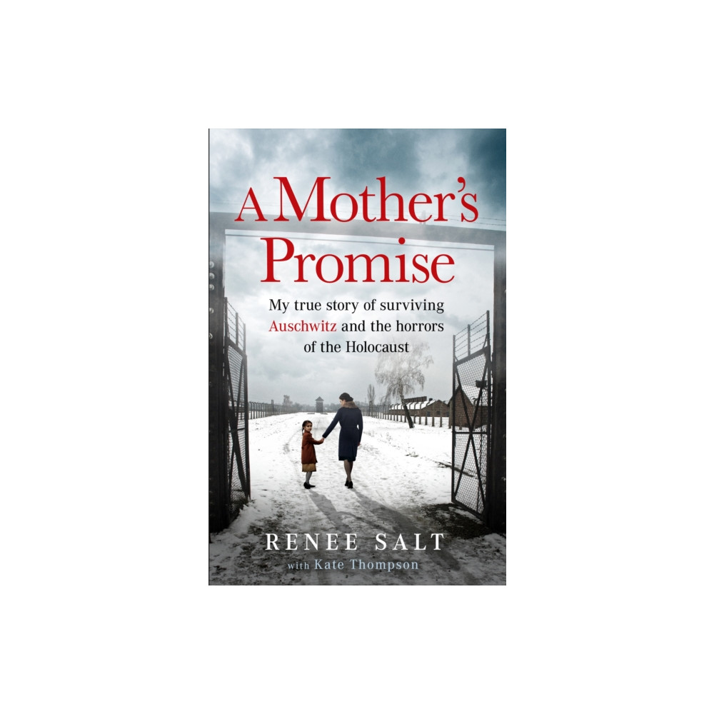 Produktbild för A Mother's Promise (häftad, eng)