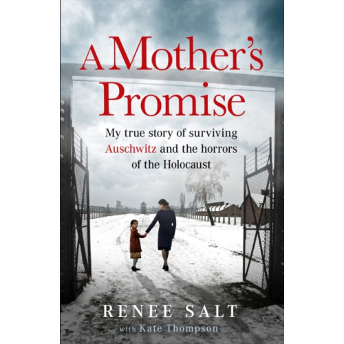 Orion Publishing Co A Mother's Promise (häftad, eng)