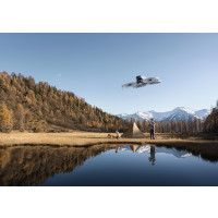 Produktbild för DJI Flip
