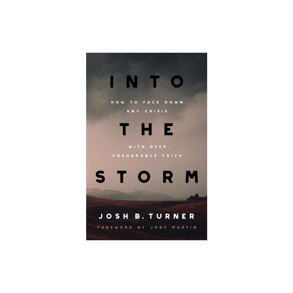 Produktbild för Into the Storm (häftad, eng)