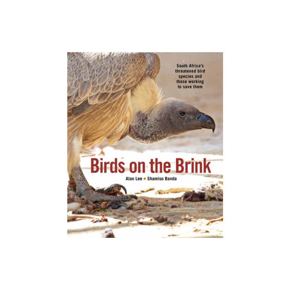 Produktbild för Birds on the Brink (häftad, eng)