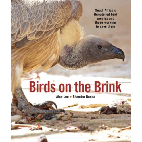 Penguin Random House South Africa Birds on the Brink (häftad, eng)