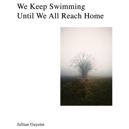 Daylight Books We Keep Swimming, Until We All Reach Home (inbunden, eng)