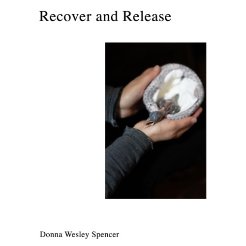 Daylight Books Recover and Release (inbunden, eng)