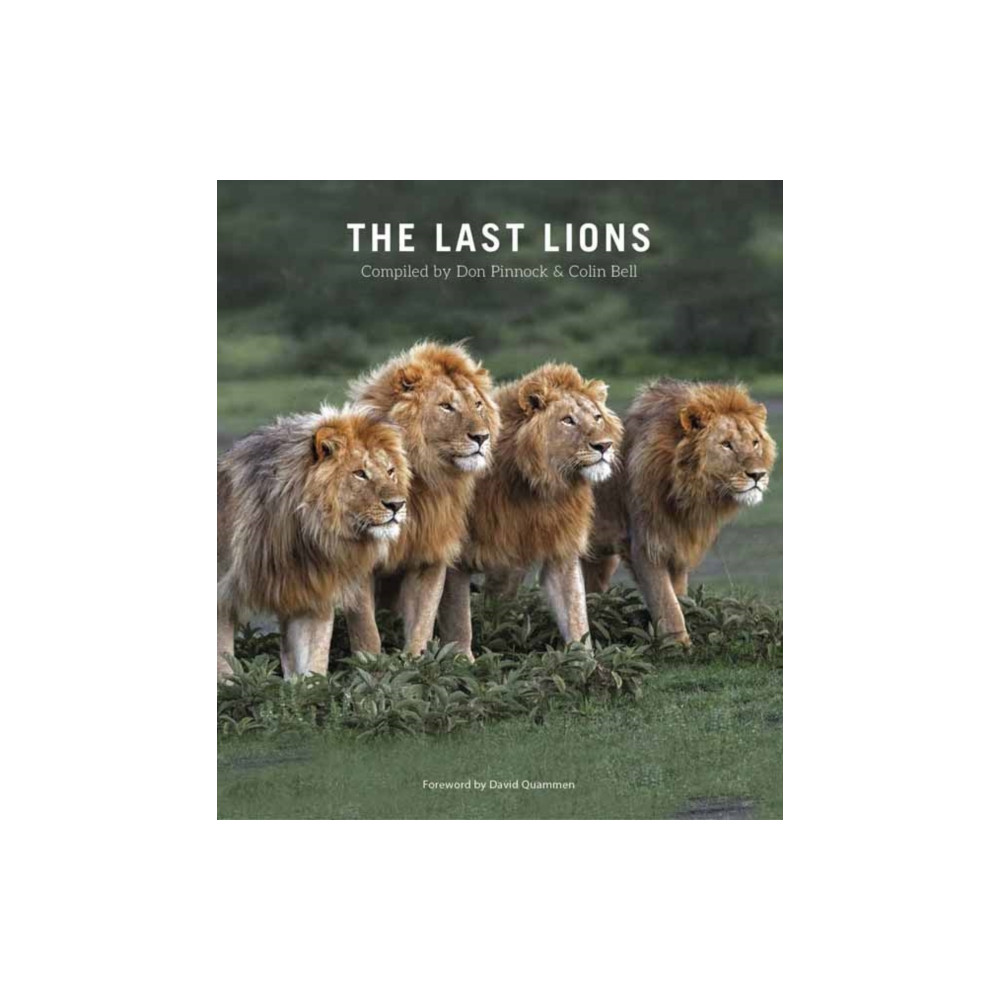 Produktbild för The Last Lions (häftad, eng)