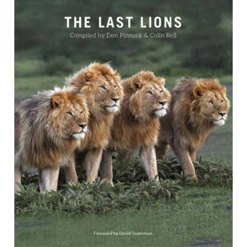 Penguin Random House South Africa The Last Lions (häftad, eng)