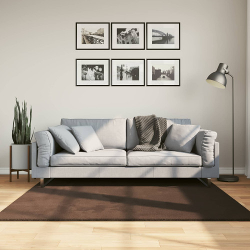 vidaXL Mellanhög mjuk och tvättbar matta HUARTE Brun 160 x 160 cm