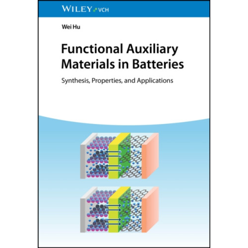 Wiley-VCH Verlag GmbH Functional Auxiliary Materials in Batteries (inbunden, eng)