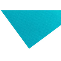 Produktbild för Servett PRONAPPE 20x20cm turkos 50/fp