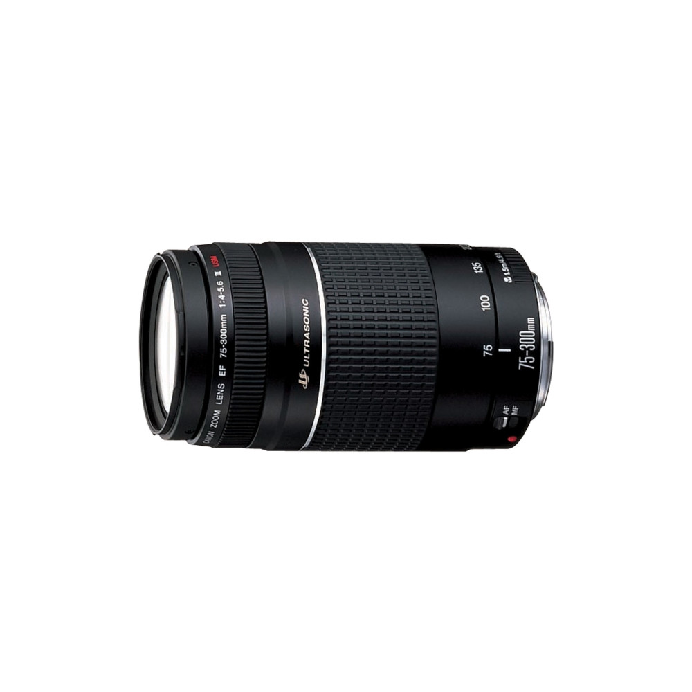 Produktbild för Canon EF telezoomobjektiv - 75 mm - 300 mm